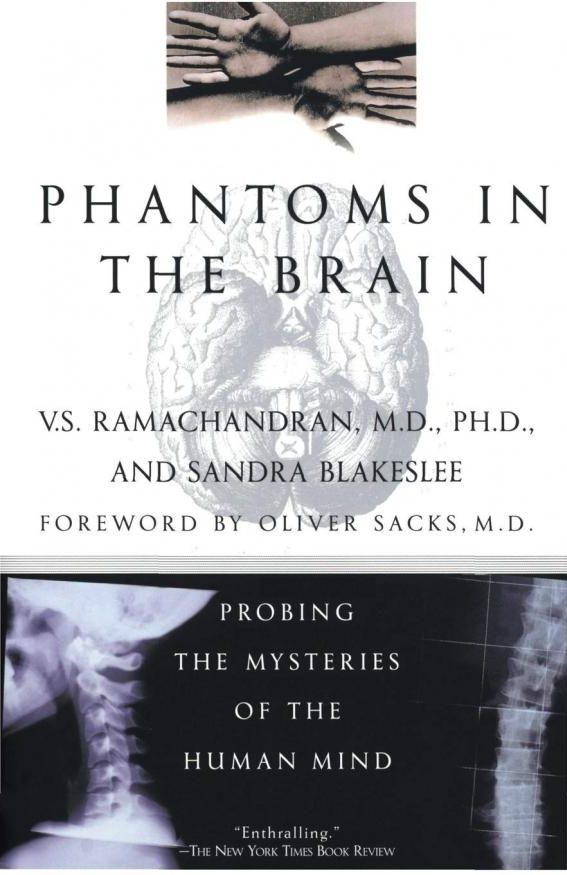 Phantoms in the Brain - Bóng Ma Trong Não